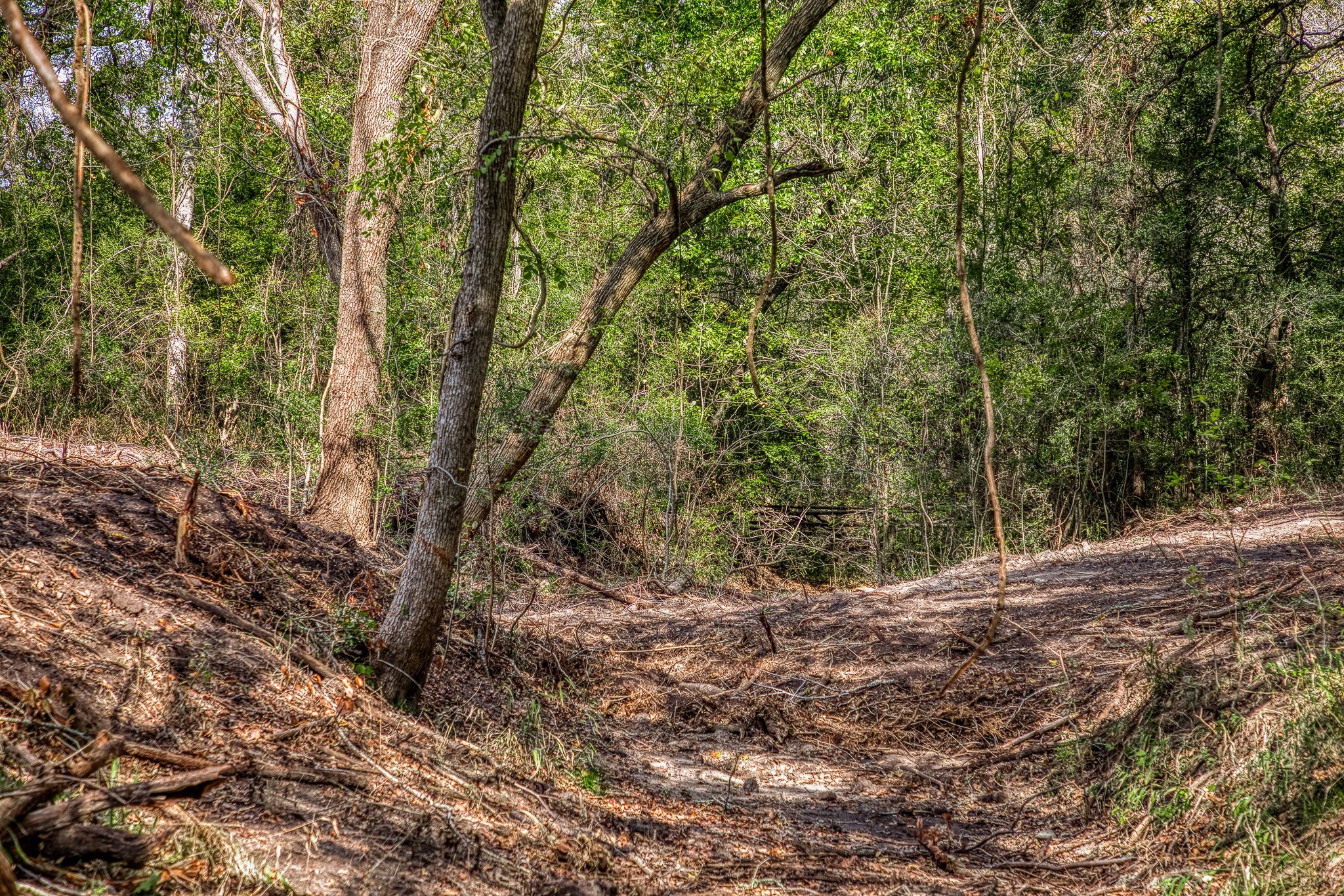 4 Sun Oil Road Brenham, TX 77833 - Photo 19 of 35