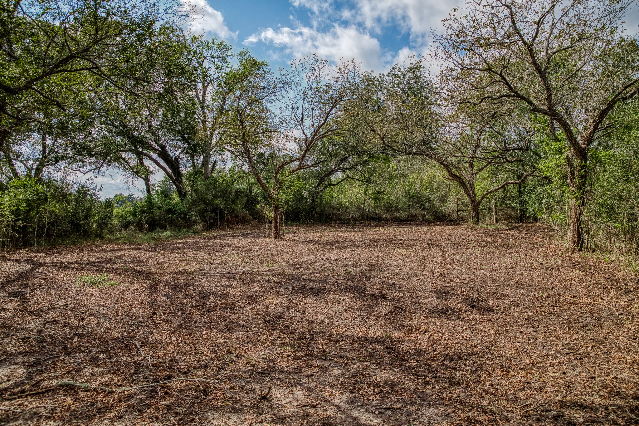 4 Sun Oil Road Brenham, TX 77833 - Photo 20 of 35 a view of outdoor space with trees