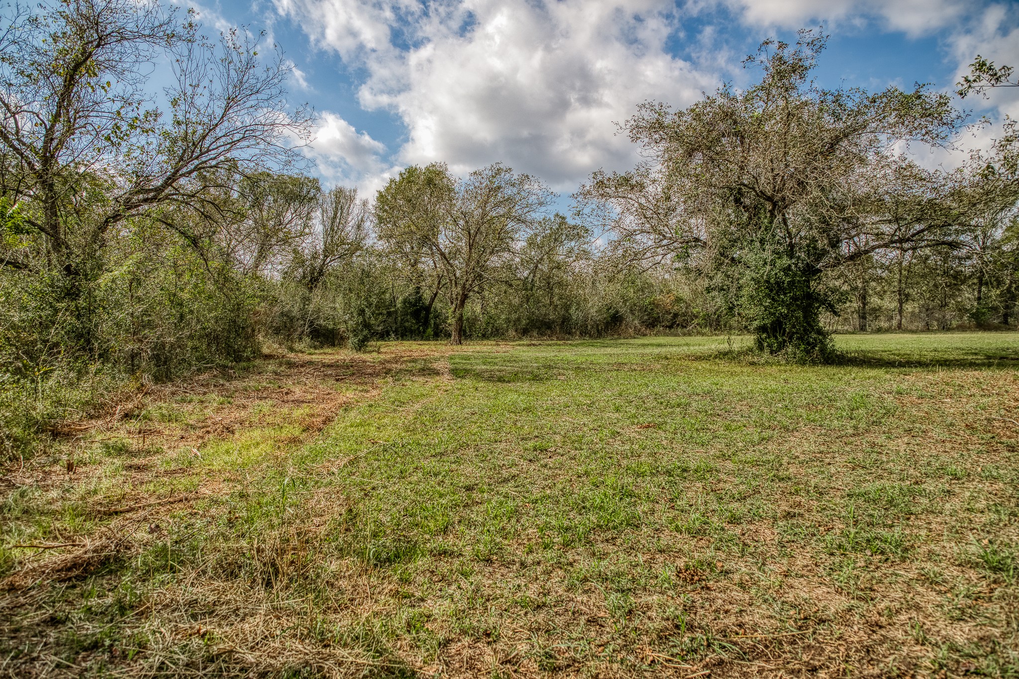 4 Sun Oil Road Brenham, TX 77833 - Photo 23 of 35 a view of outdoor space with trees all around