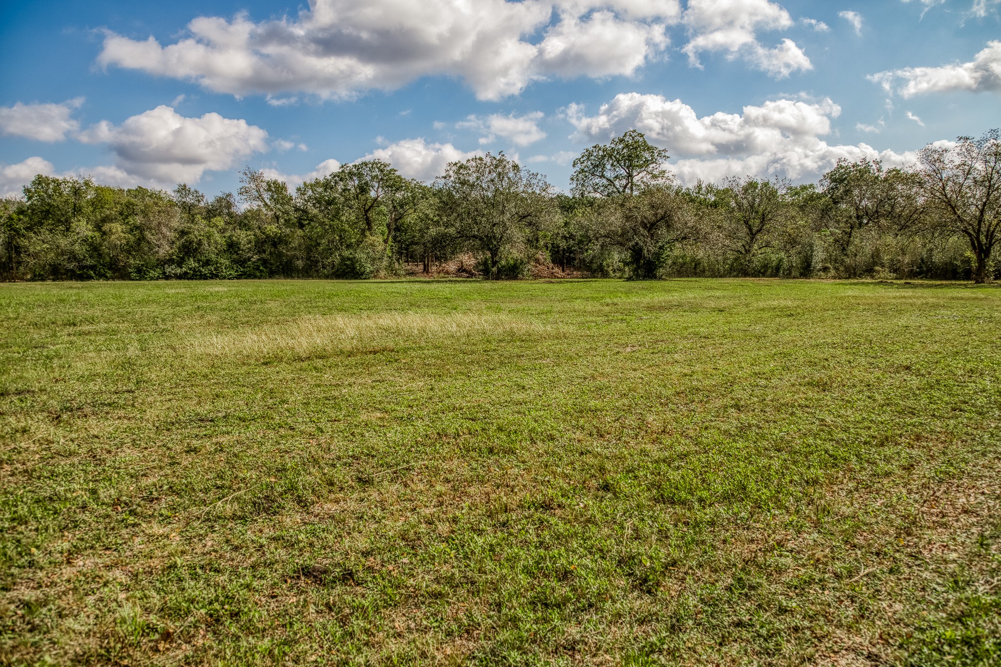 4 Sun Oil Road Brenham, TX 77833 - Photo 25 of 35 a view of a green field