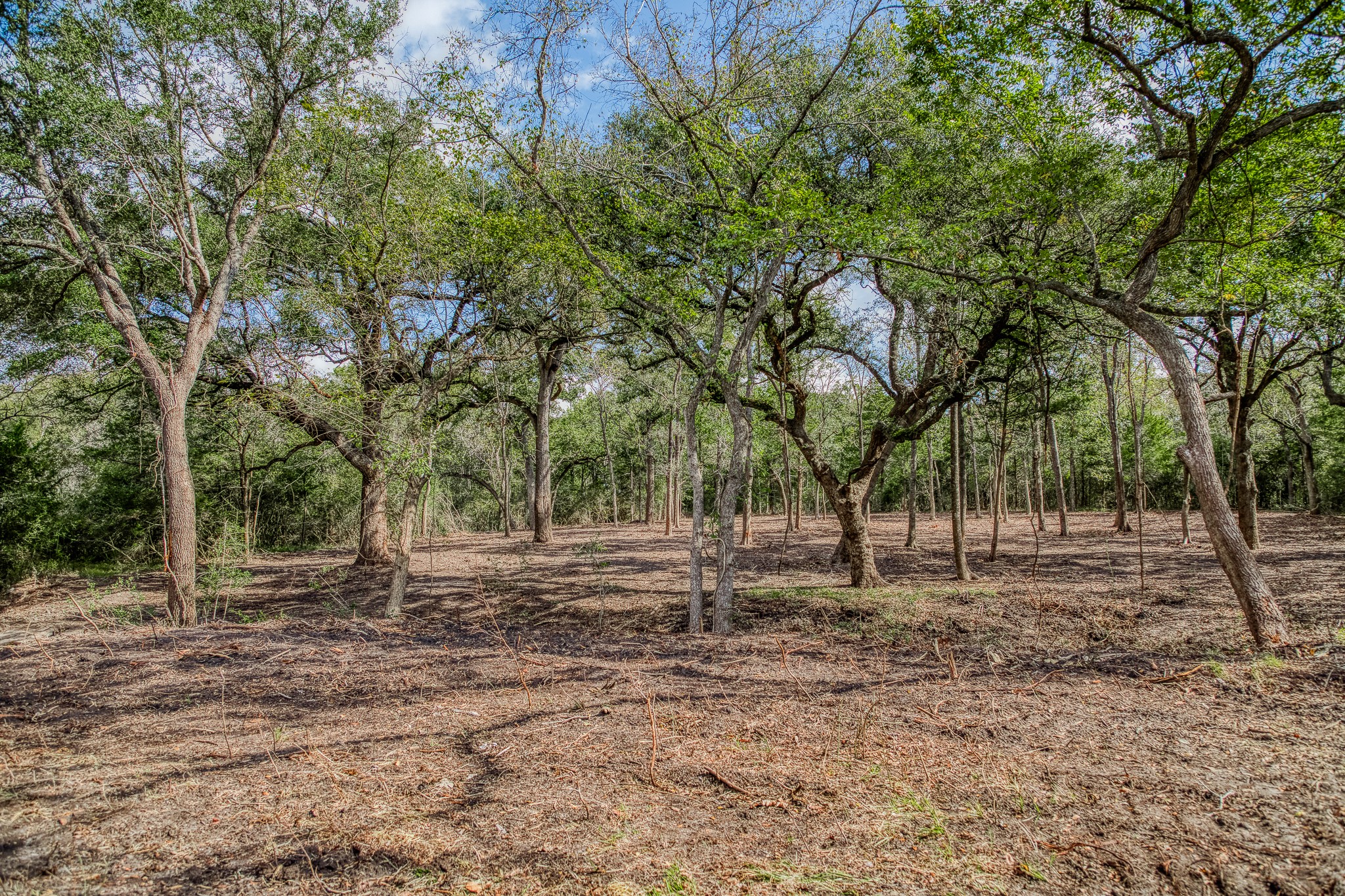 4 Sun Oil Road Brenham, TX 77833 - Photo 27 of 35 a backyard of a house with lots of green space