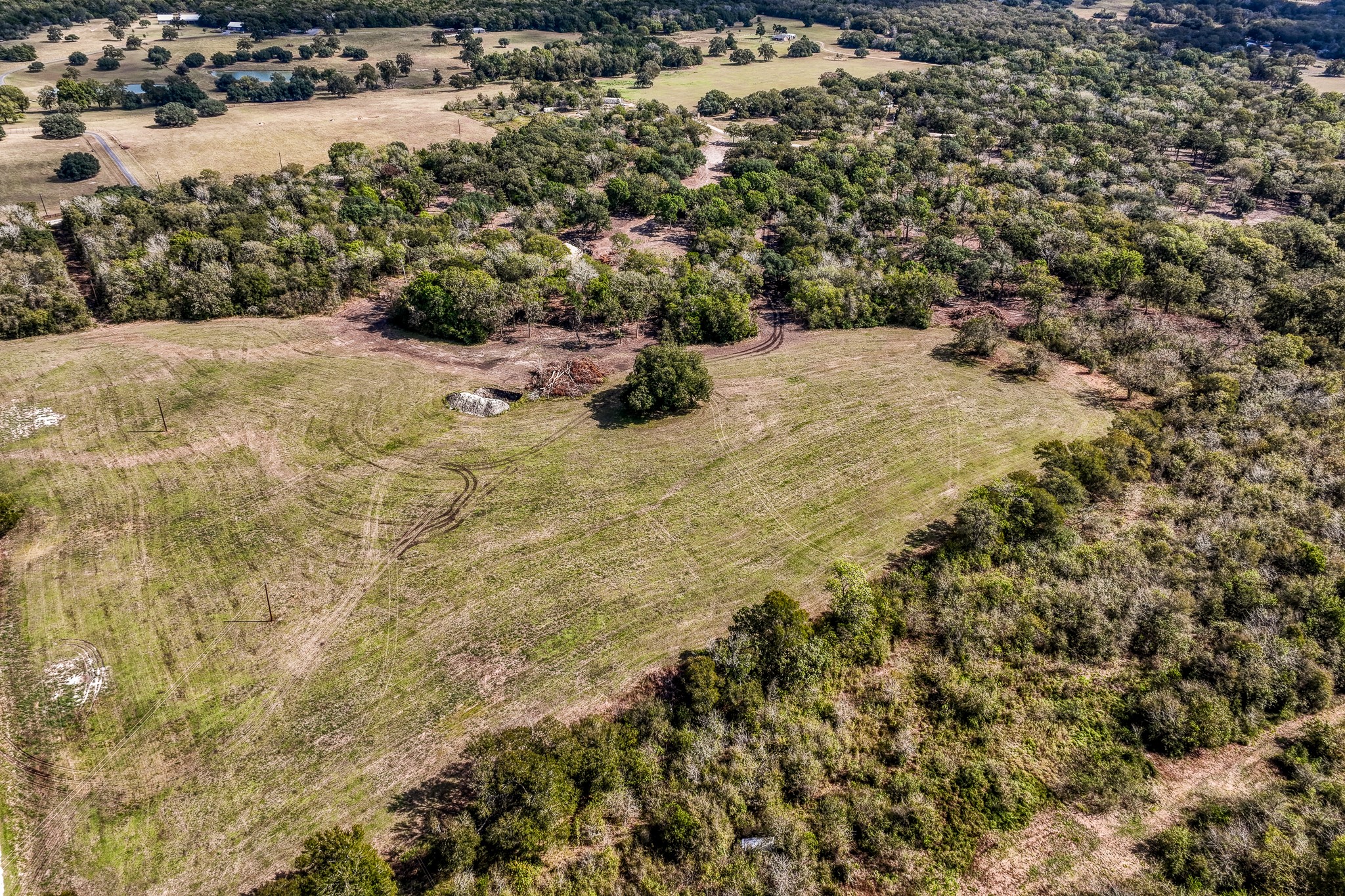 4 Sun Oil Road Brenham, TX 77833 - Photo 29 of 35 a view of a yard with a tree