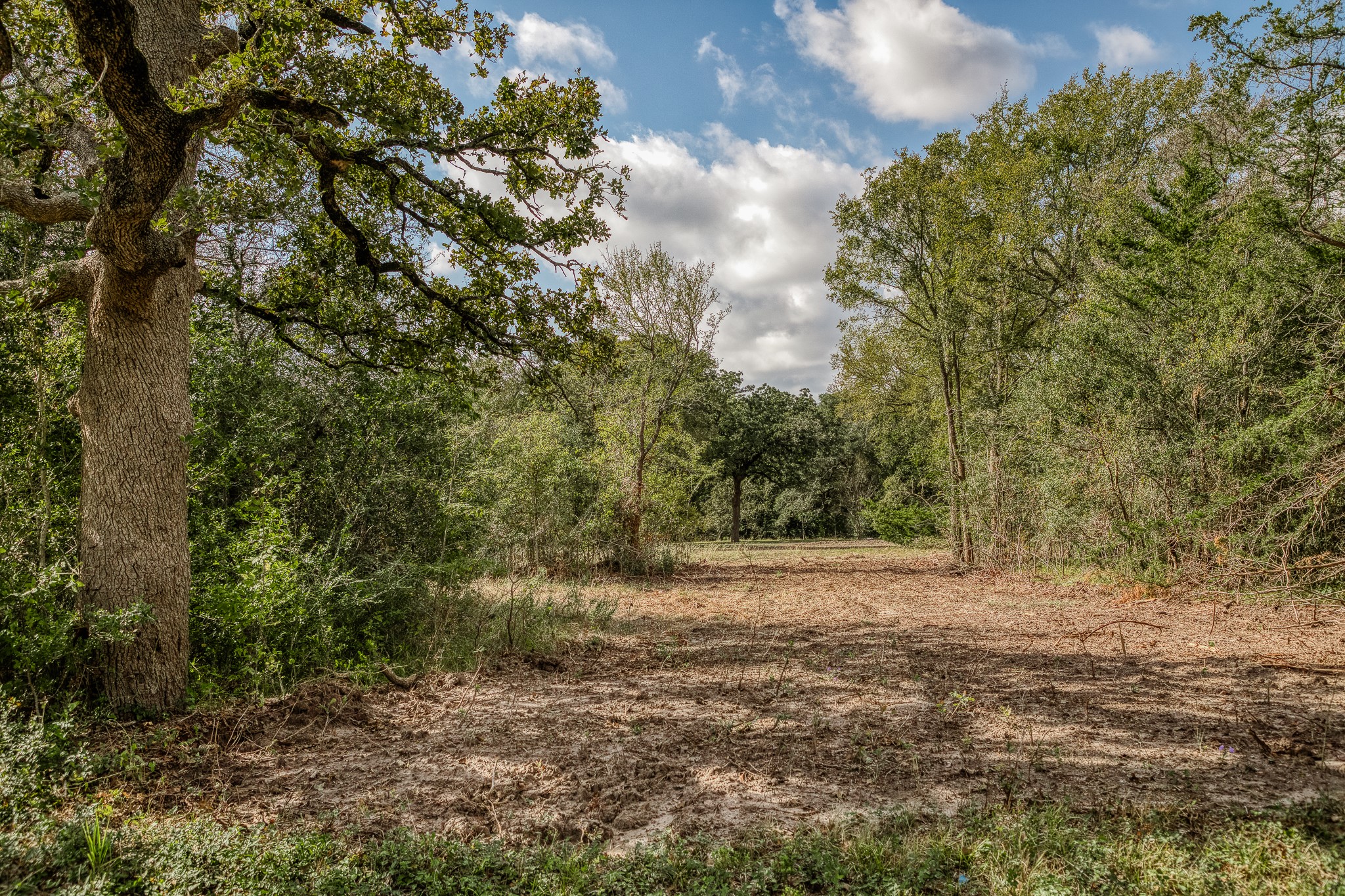 4 Sun Oil Road Brenham, TX 77833 - Photo 4 of 35 a view of outdoor space with trees all around