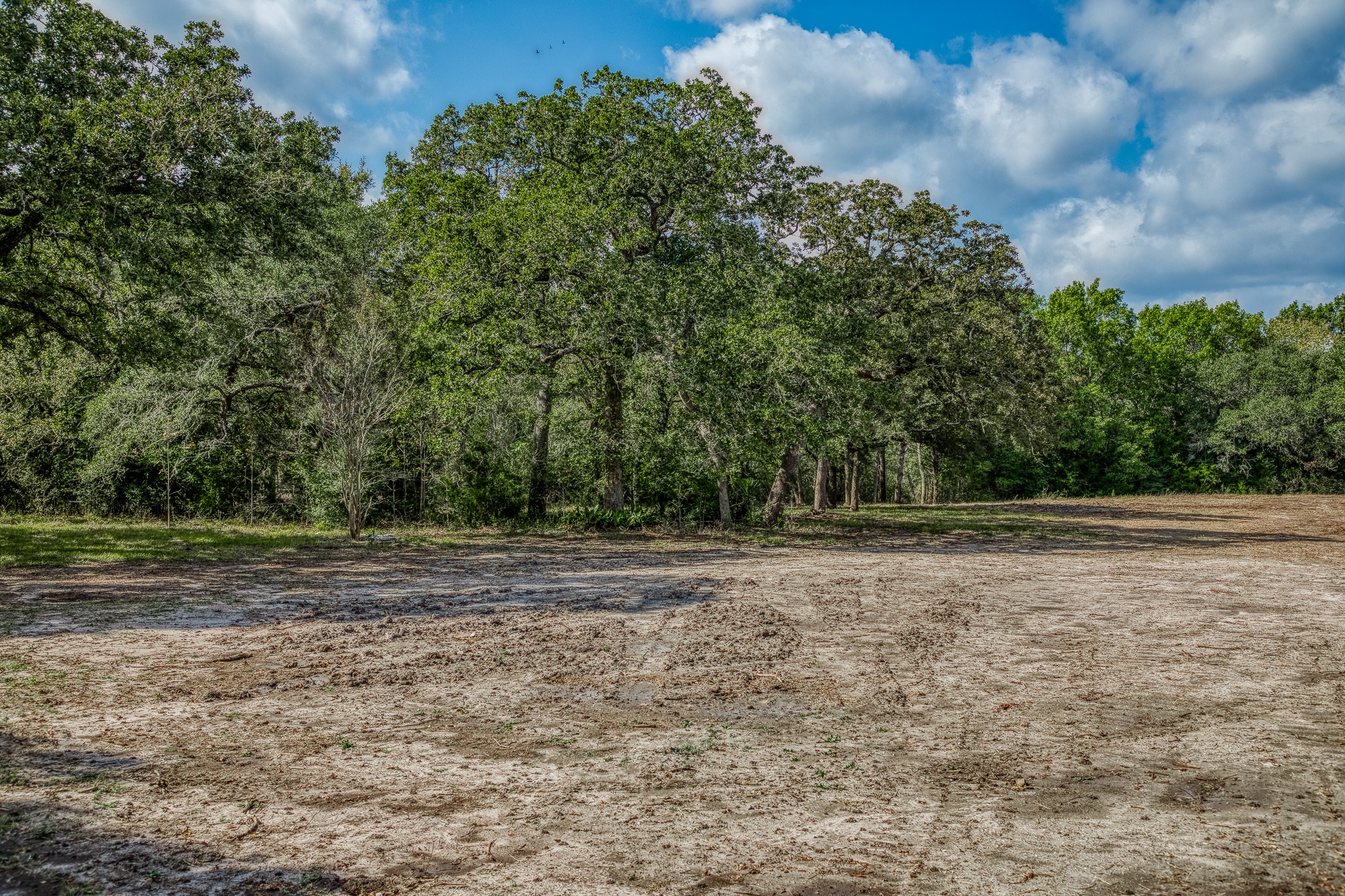 4 Sun Oil Road Brenham, TX 77833 - Photo 5 of 35 a view of outdoor space with trees