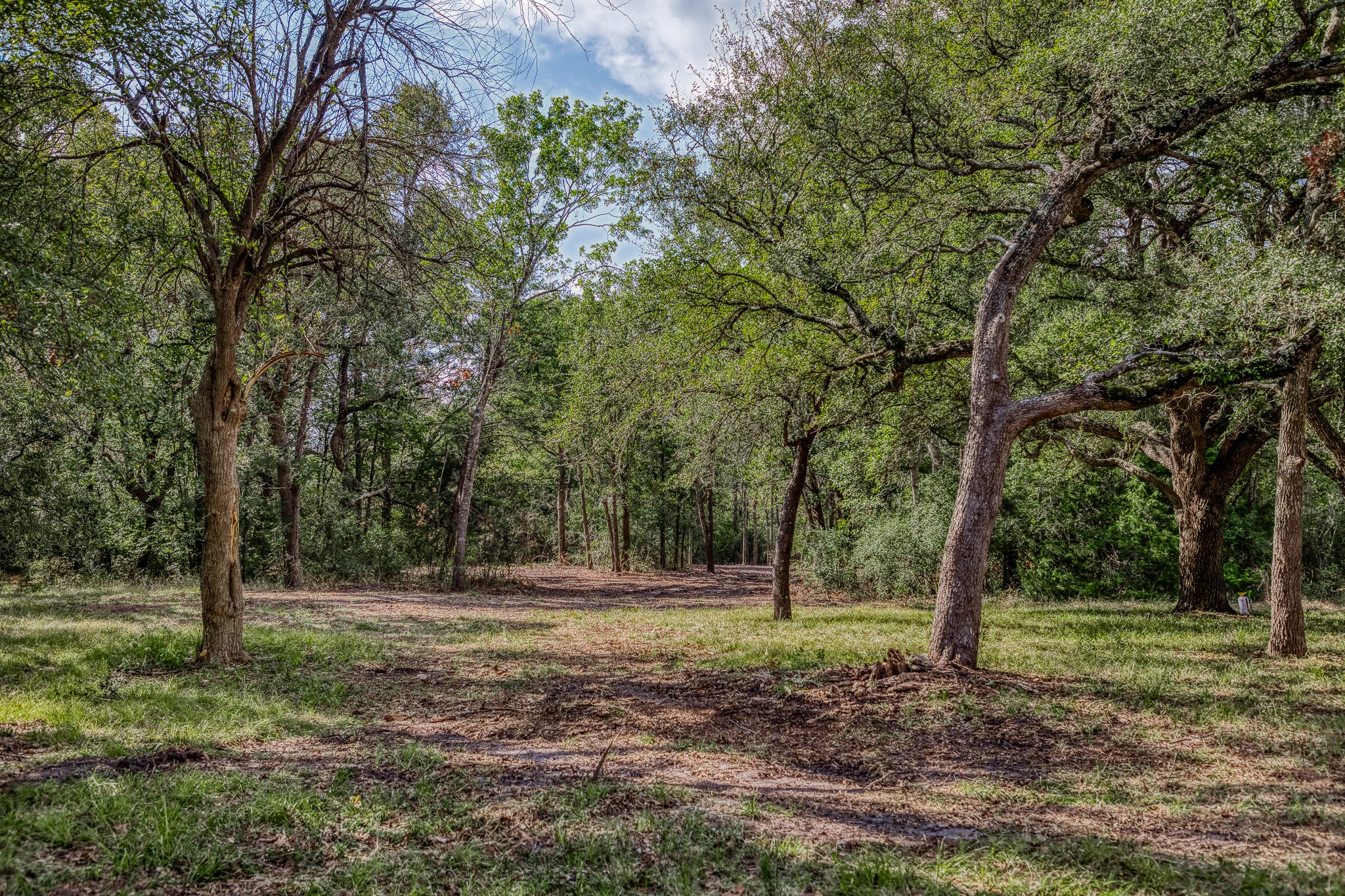 4 Sun Oil Road Brenham, TX 77833 - Photo 6 of 35 a backyard of a house with lots of trees