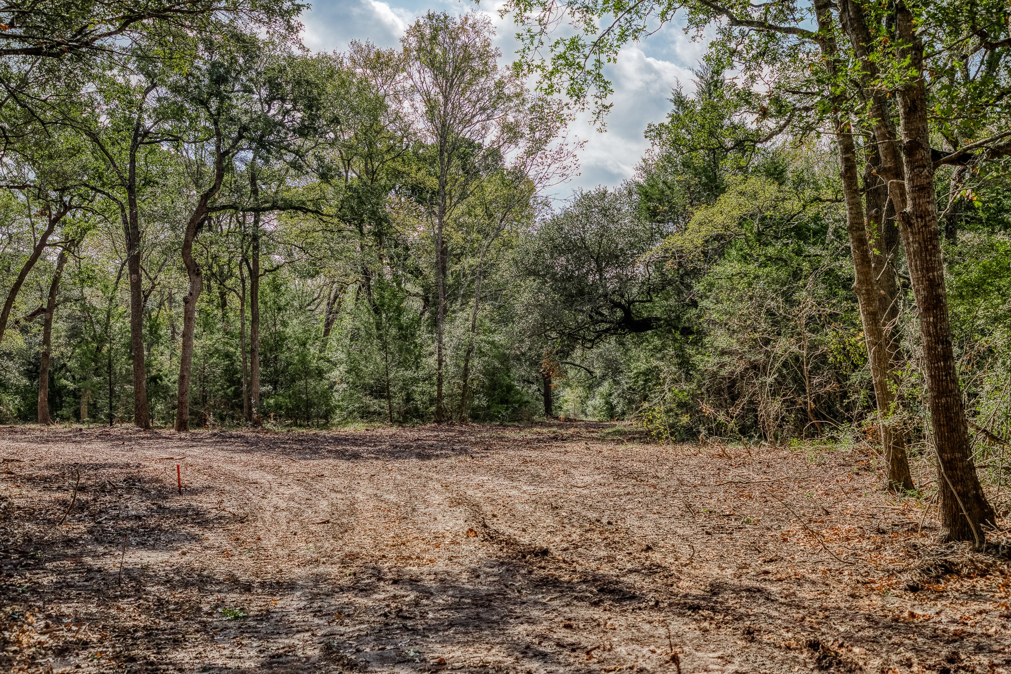 4 Sun Oil Road Brenham, TX 77833 - Photo 8 of 35 a view of backyard with green space