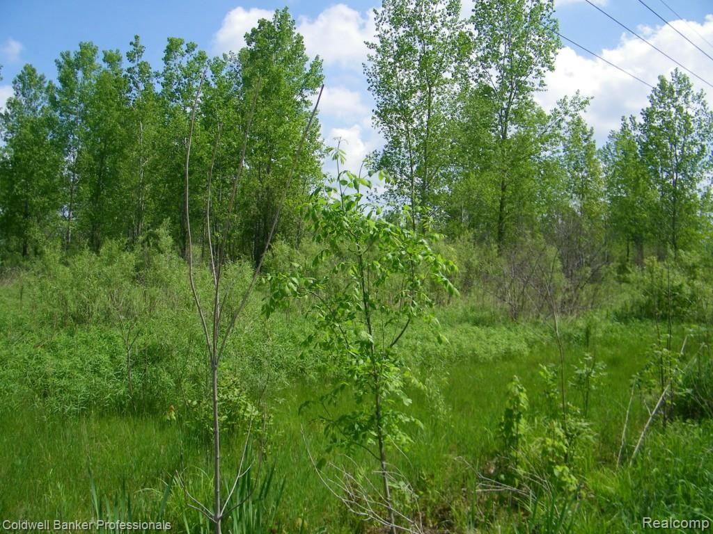 Par E Waterman Road Mayville, MI 48744 - Photo 6 of 8