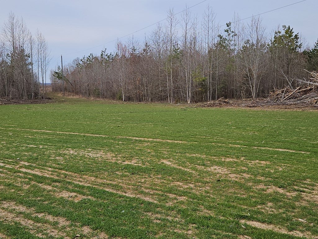 654 Salem Road Dillwyn, VA 23936 - Photo 10 of 11 Gallery Image 10