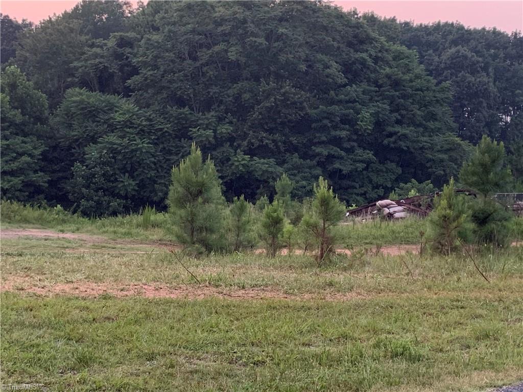 2186 Dillard Road Madison, NC 27025 - Photo 2 of 3
