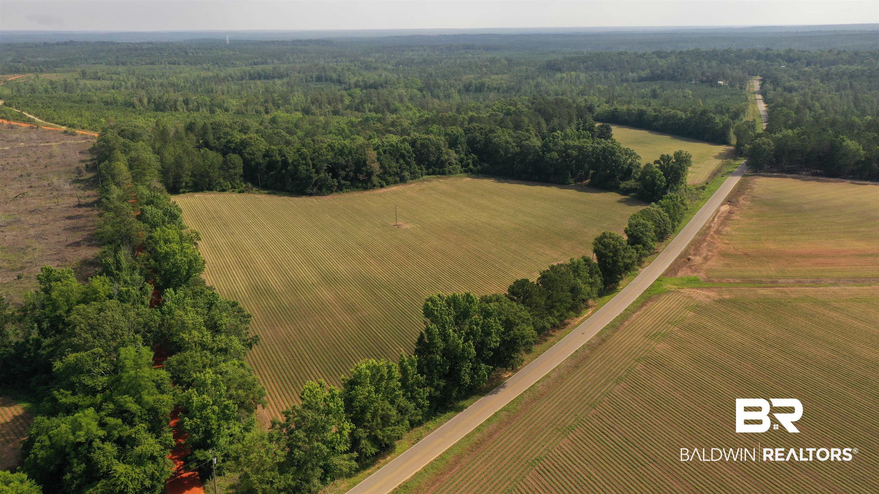 6 Travis Road Brewton, AL 36426 - Photo 9 of 22