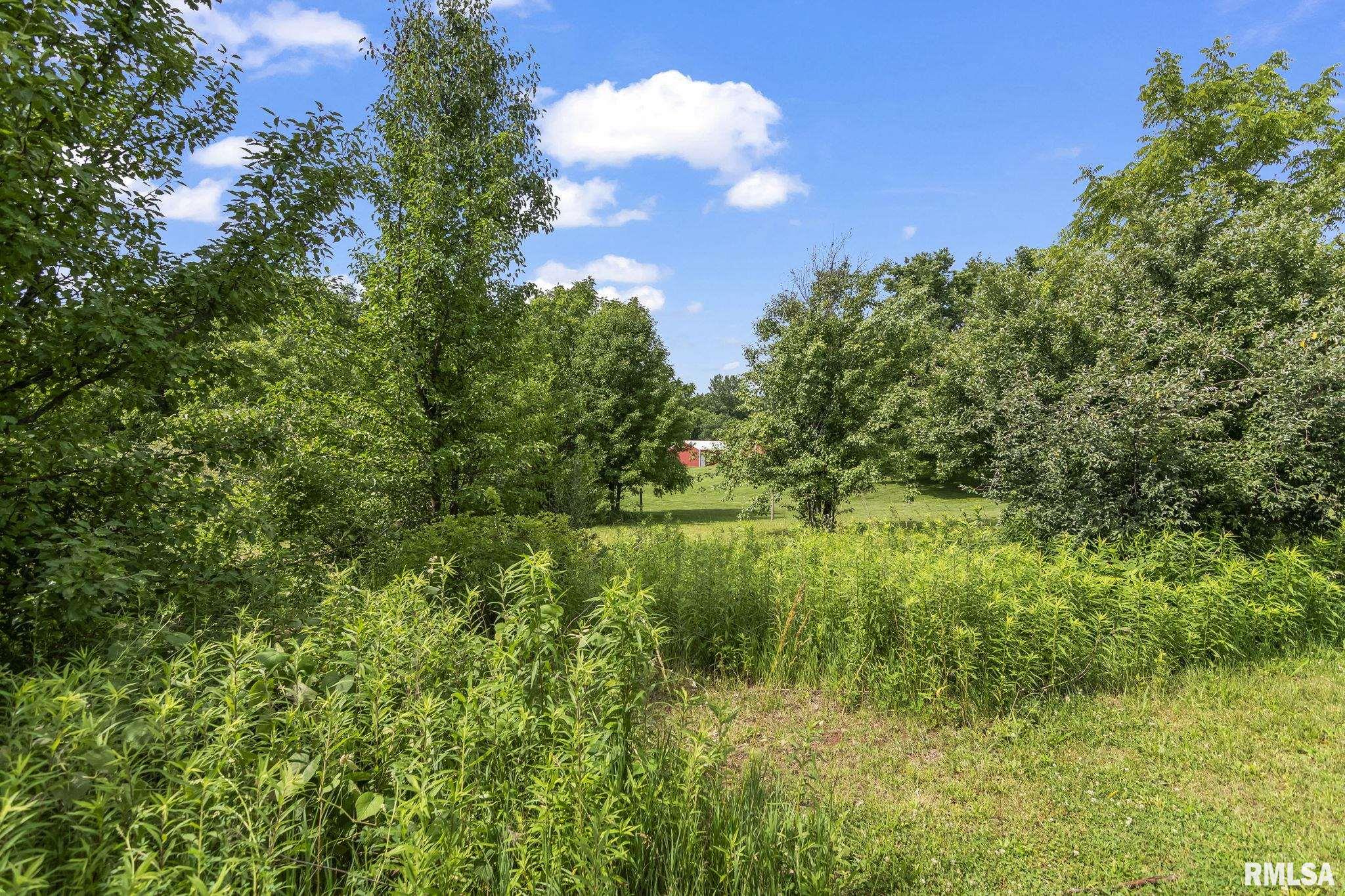1850 East Barber Road Sherman, IL 62684 - Photo 55 of 65