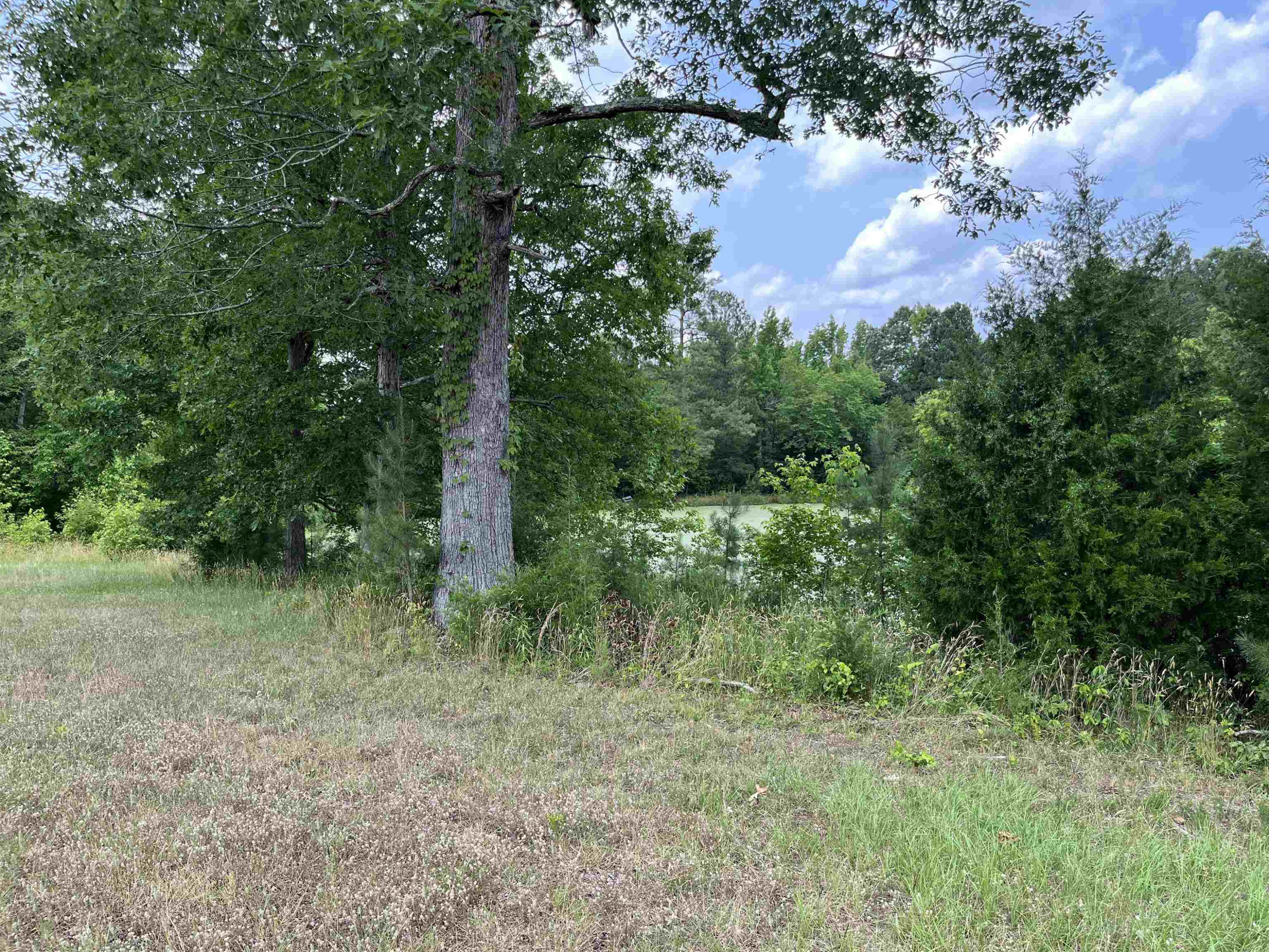 3153 Walters Road Creedmoor, NC 27522 - Photo 1 of 3 Photo 1