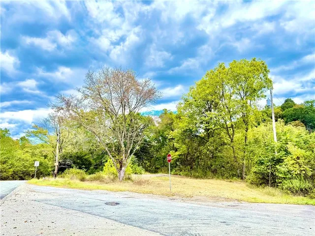 a view of yard with pathway