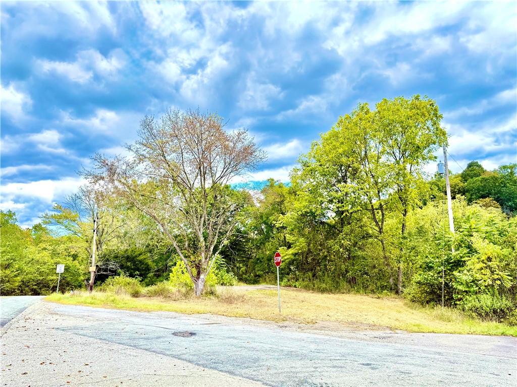 a view of yard with pathway