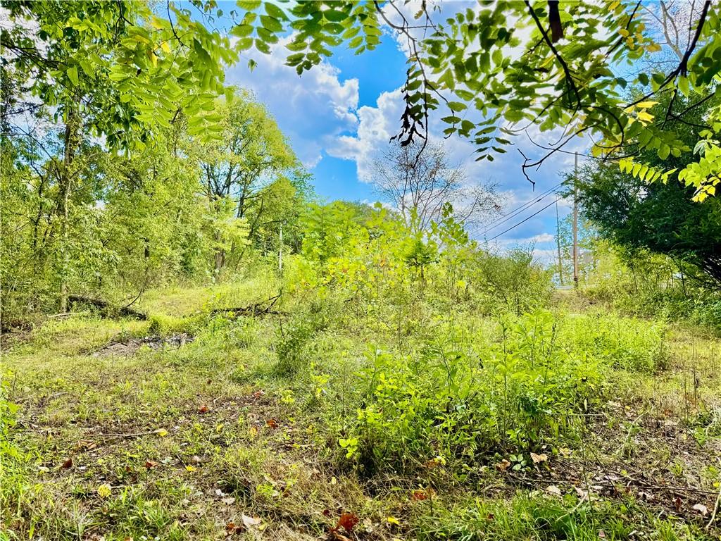 506 Narrows Road East Millsboro, PA 15433 - Photo 12 of 14 a view of a garden with a flower