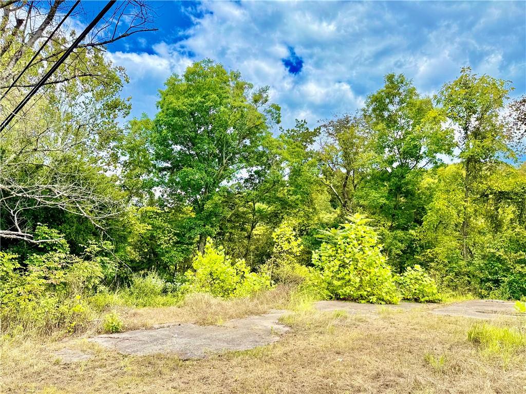 506 Narrows Road East Millsboro, PA 15433 - Photo 13 of 14 a backyard of a house with lots of green space and trees in the back
