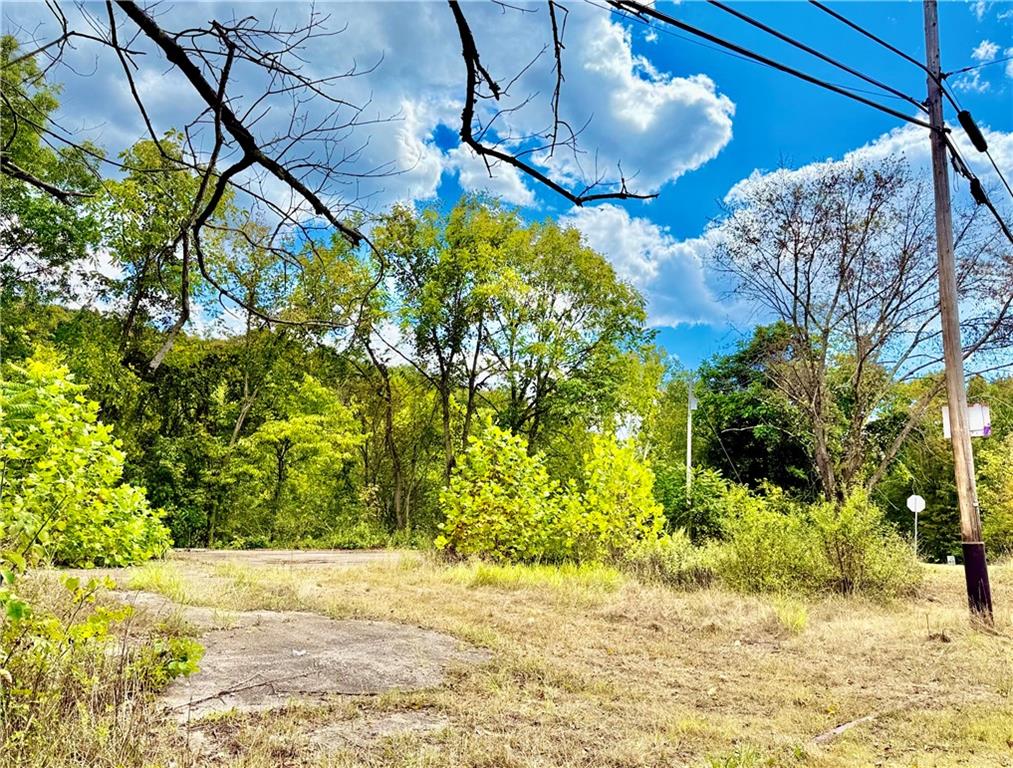 506 Narrows Road East Millsboro, PA 15433 - Photo 14 of 14 a view of a yard