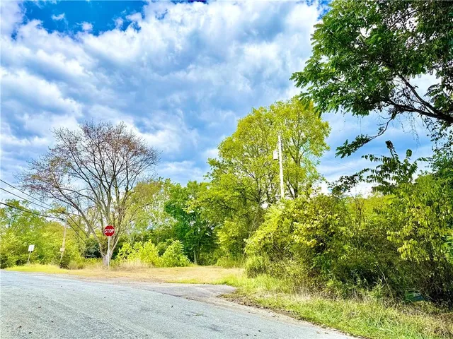 a view of yard with green space