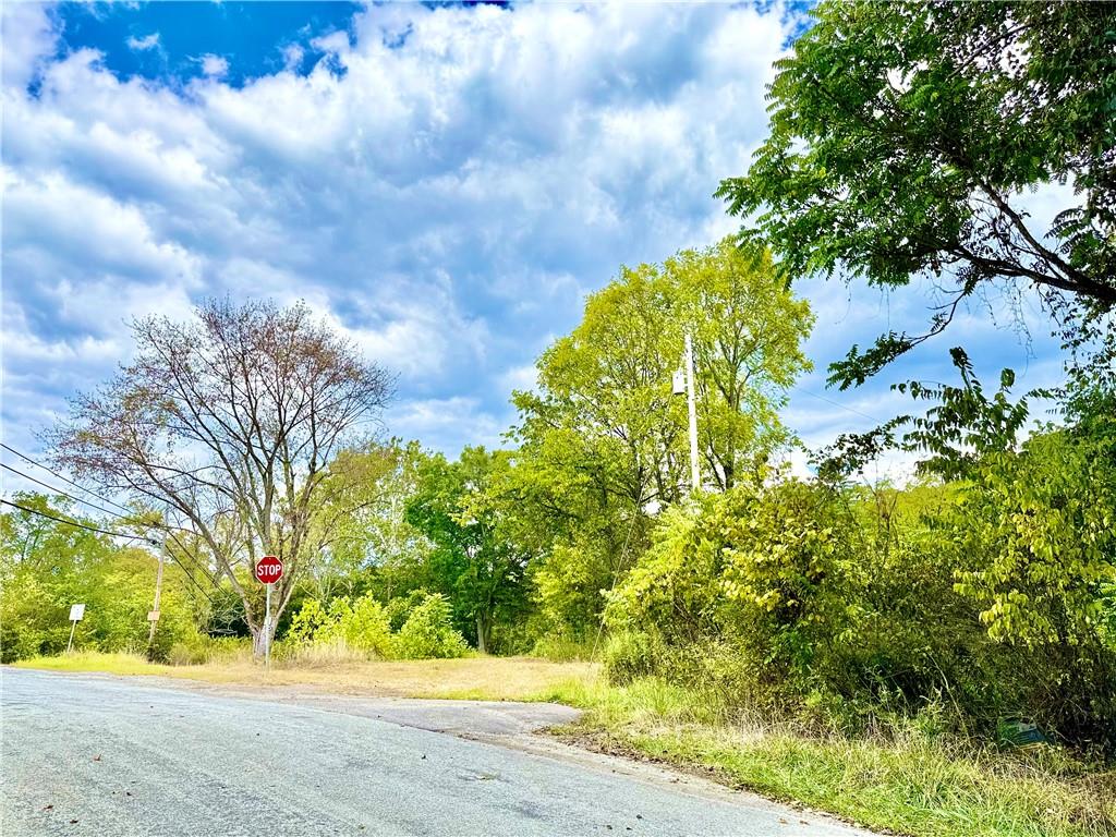 506 Narrows Road East Millsboro, PA 15433 - Photo 3 of 14 a view of yard with green space