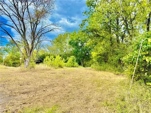 a backyard of a house with large trees