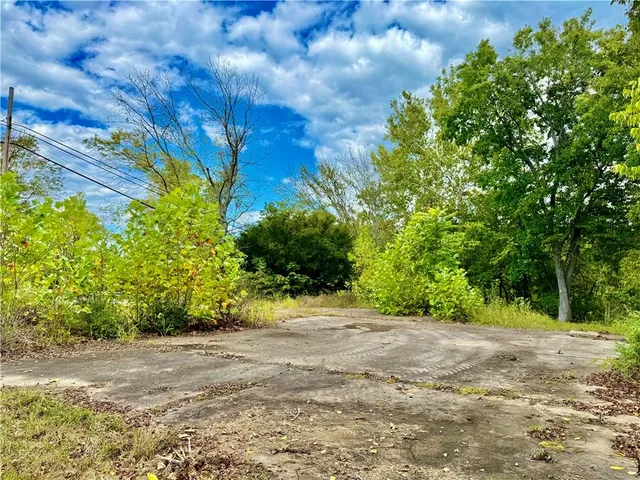 a view of a yard with plants and trees