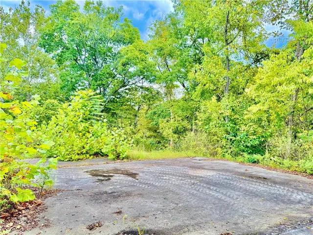 a view of a yard with a tree