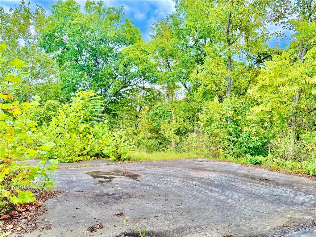 506 Narrows Road East Millsboro, PA 15433 - Photo 8 of 14 a view of a yard with a tree
