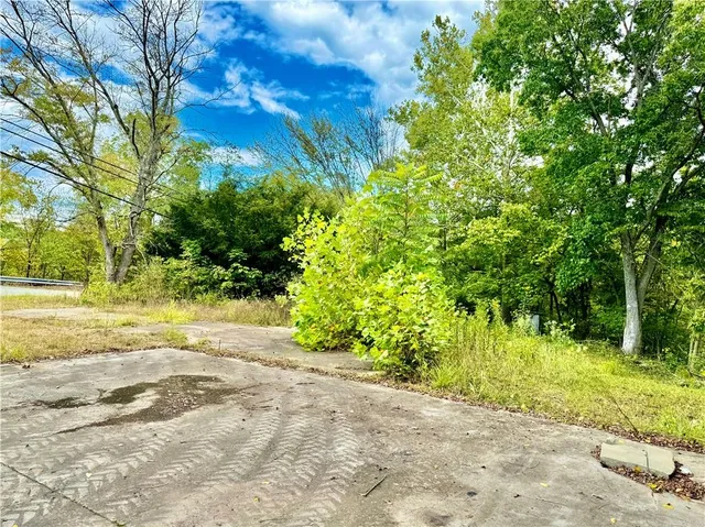 a view of a yard with plants and large trees
