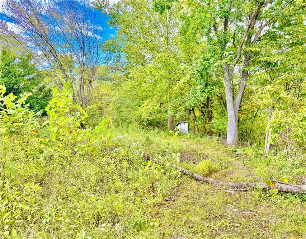 506 Narrows Road East Millsboro, PA 15433 - Photo 10 of 14 a view of yard with green space