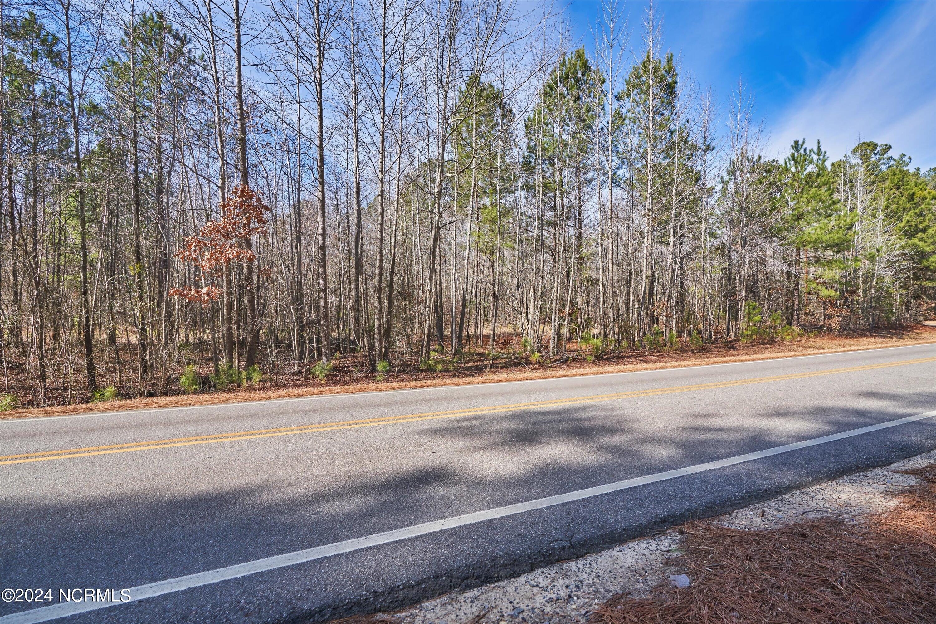 L-13 Rays Bridge Road Whispering Pines, NC 28327 - Photo 15 of 17 14-TBD Rays Bridge Rd., WP_14