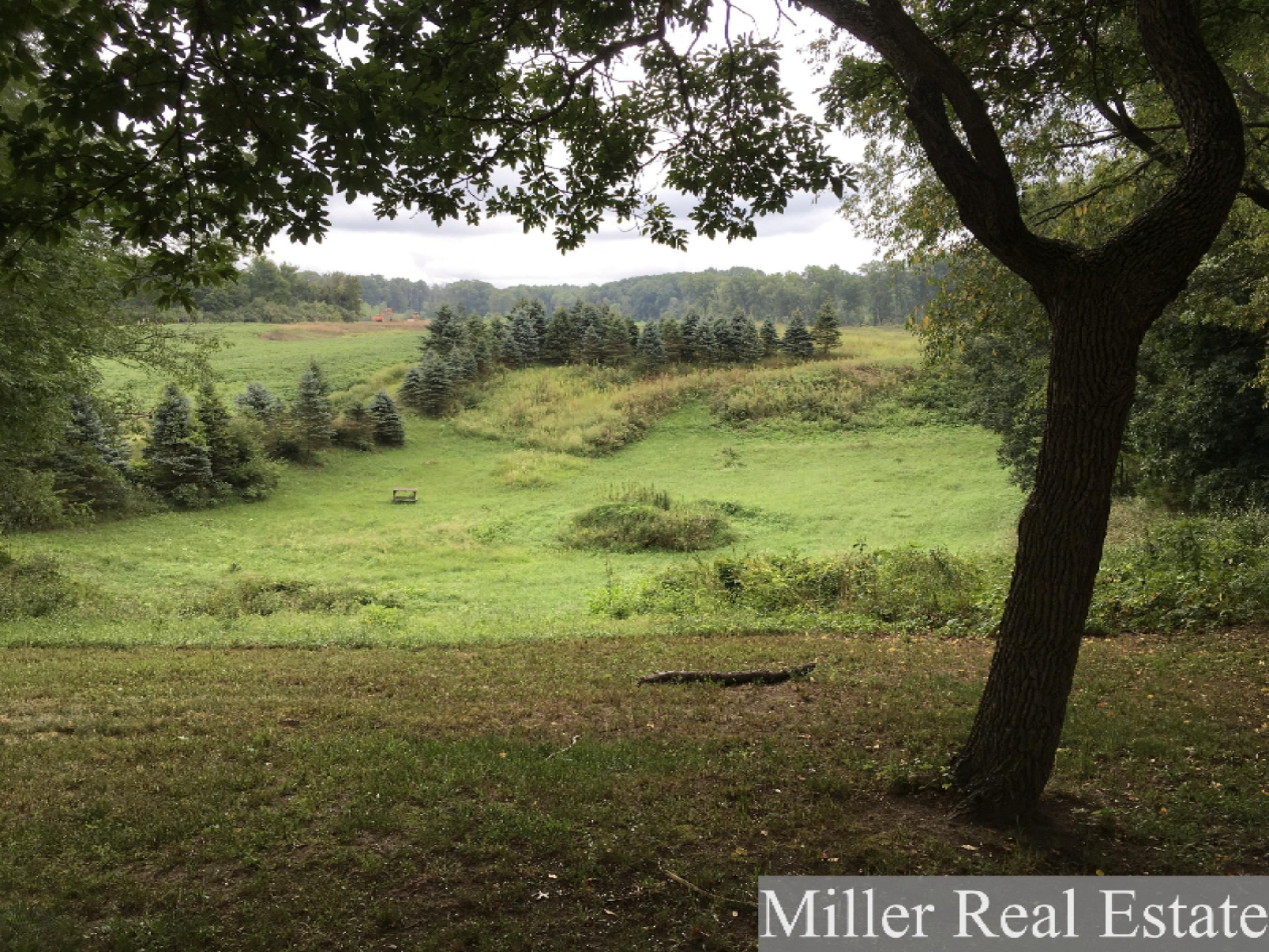 9445 Adams Road Middleville, MI 49333 - Photo 17 of 23 2018-08-21 12.00.10-1