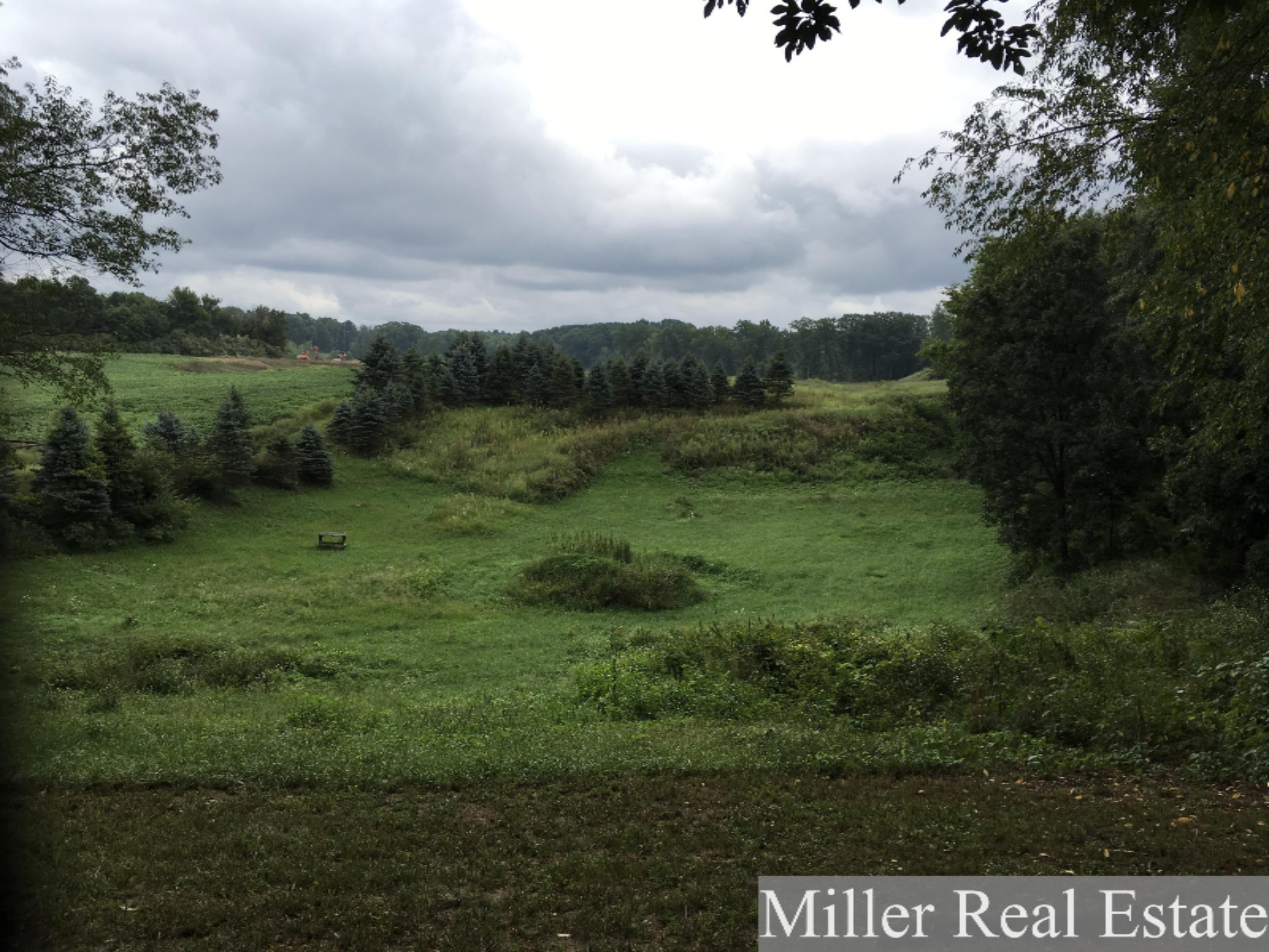 9445 Adams Road Middleville, MI 49333 - Photo 18 of 23 2018-08-21 12.00.32-1