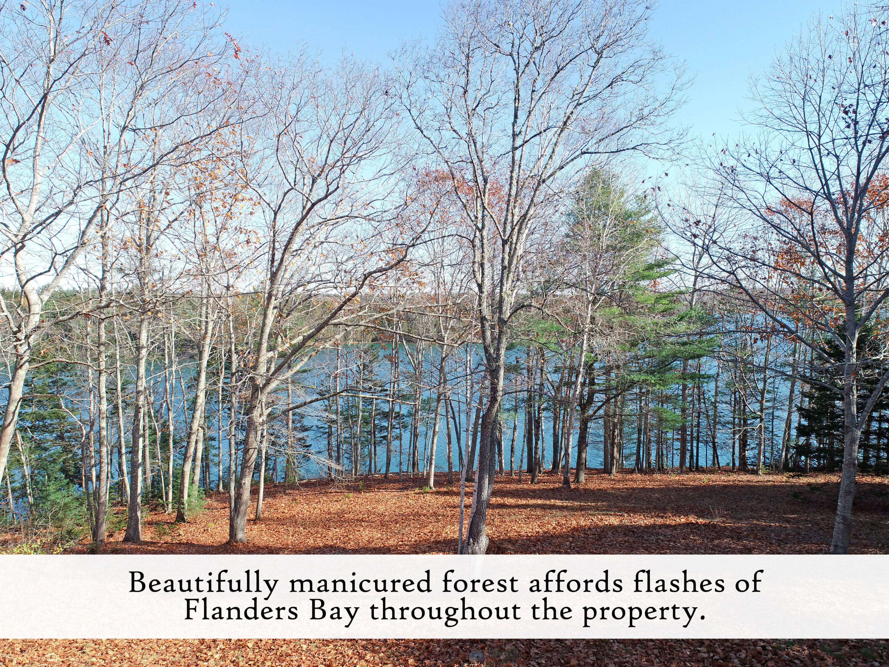 313 East Side Road Sorrento, ME 04677 - Photo 74 of 98 Grounds (4), label