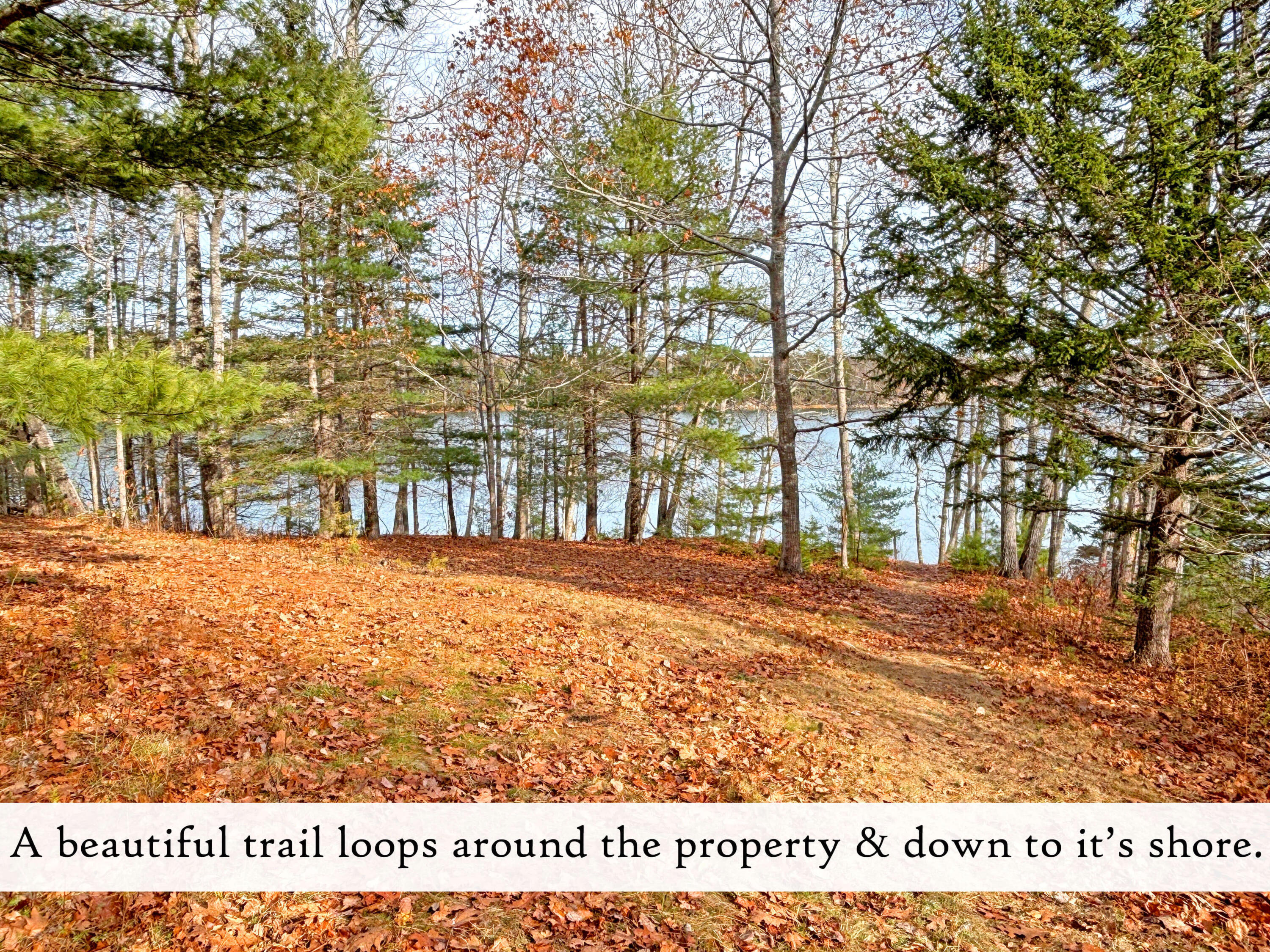 313 East Side Road Sorrento, ME 04677 - Photo 75 of 98 Waterfront (6), label