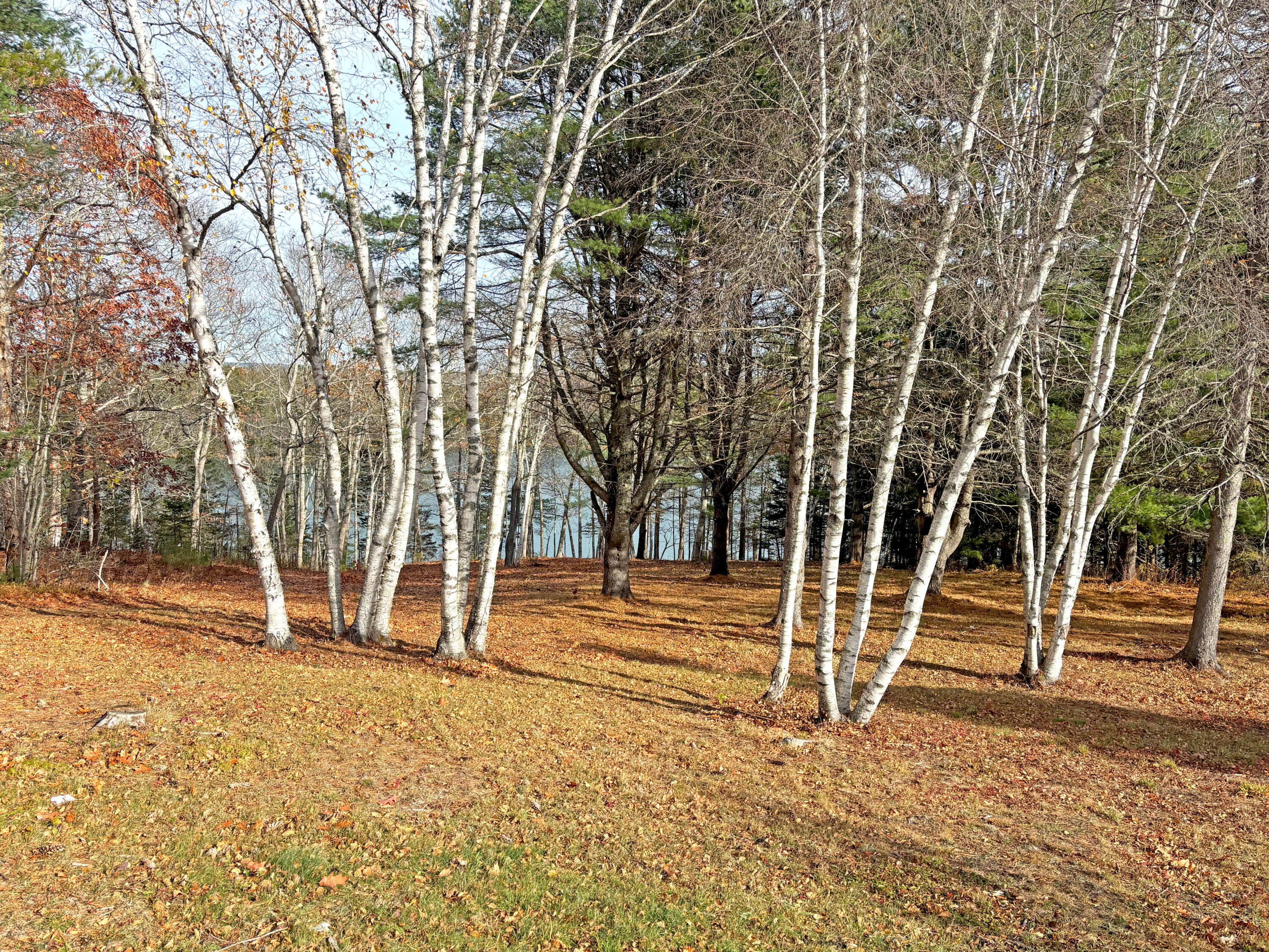 313 East Side Road Sorrento, ME 04677 - Photo 77 of 98 Grounds (10)