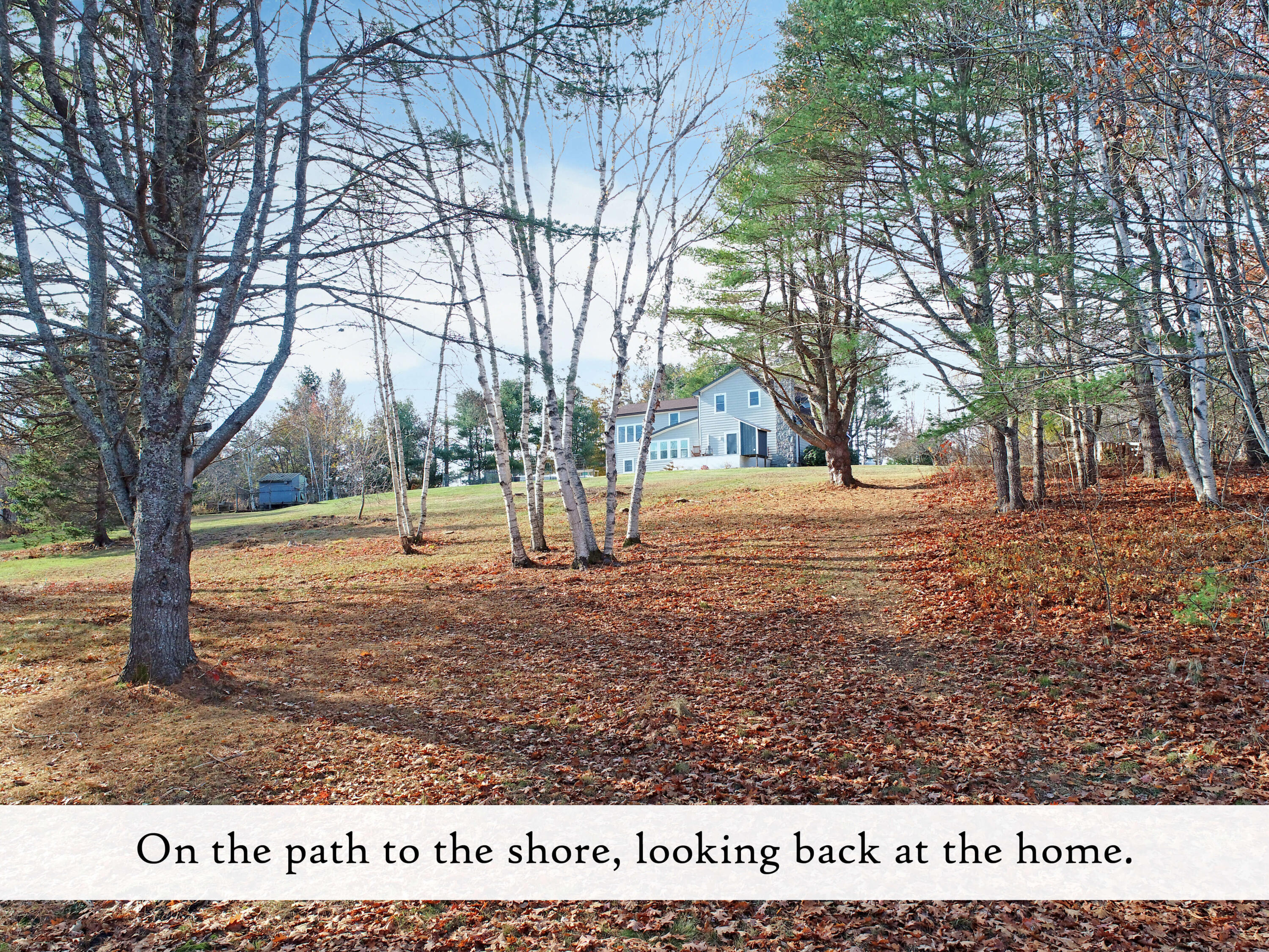 313 East Side Road Sorrento, ME 04677 - Photo 78 of 98 Grounds (5), label