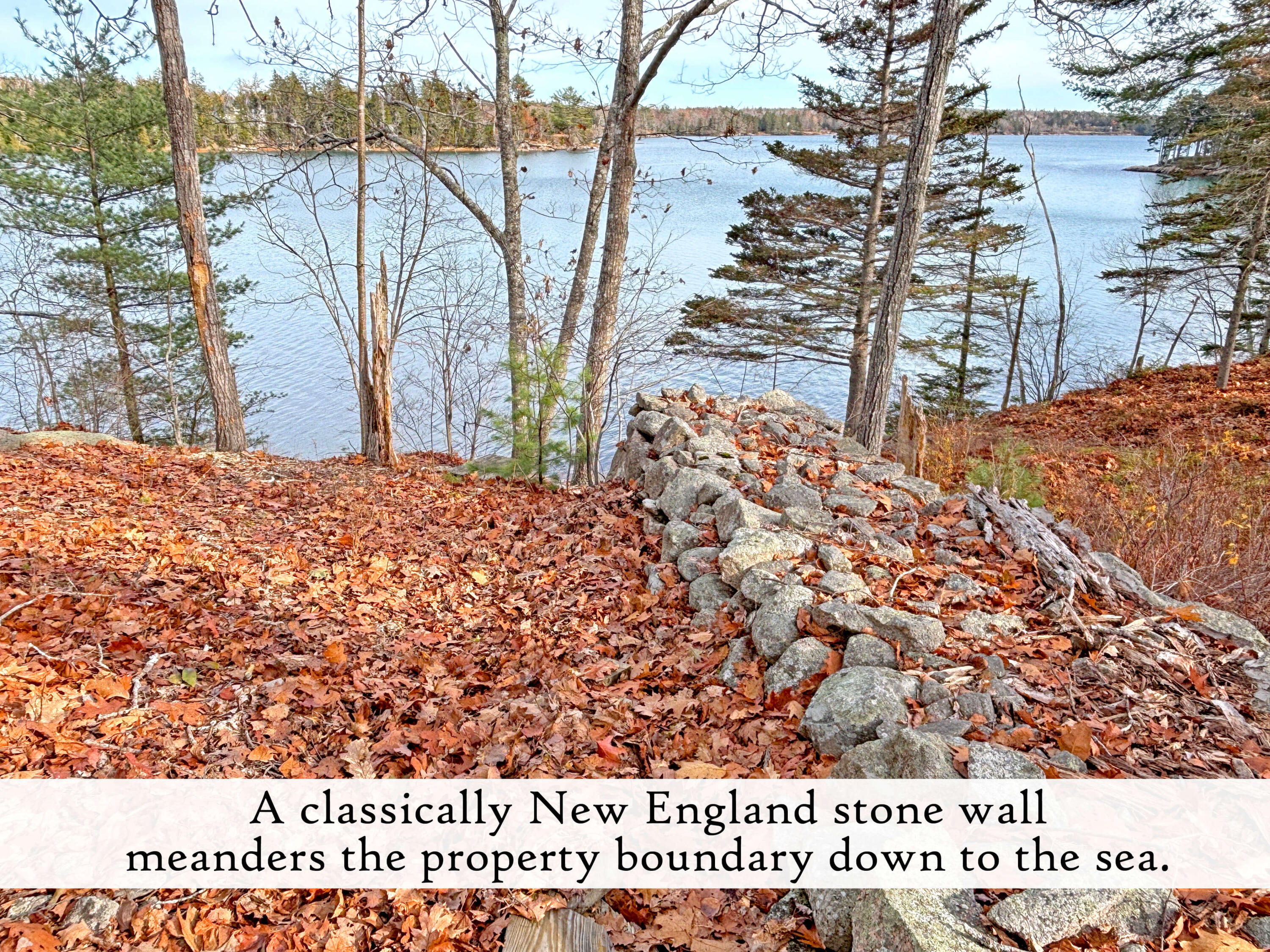 313 East Side Road Sorrento, ME 04677 - Photo 81 of 98 Waterfront (5), label