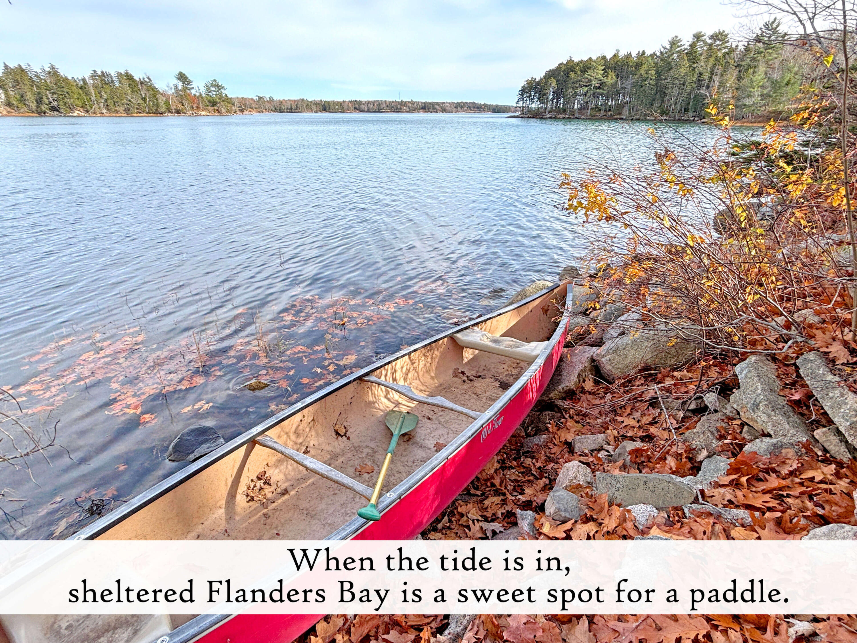 313 East Side Road Sorrento, ME 04677 - Photo 84 of 98 Waterfront (3), label