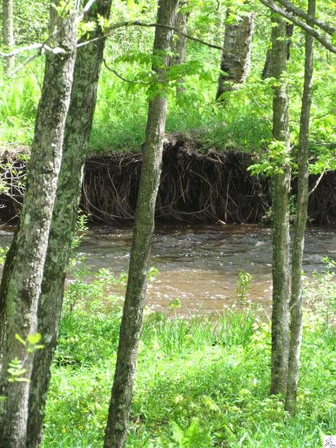 5924 Bergquist Road Duluth, MN 55804 - Photo 15 of 17