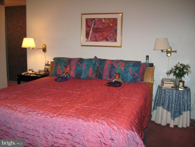 3021 Fallstaff Road, Unit 505B Baltimore, MD 21209 - Photo 3 of 10 Bedroom (Master)