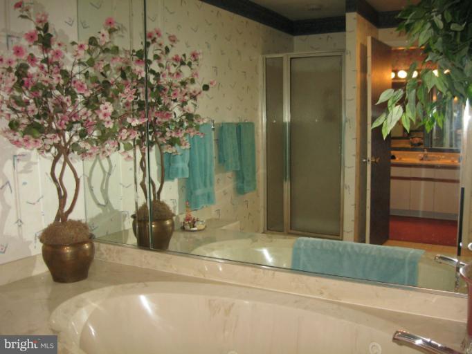 3021 Fallstaff Road, Unit 505B Baltimore, MD 21209 - Photo 4 of 10 Bath (Master)