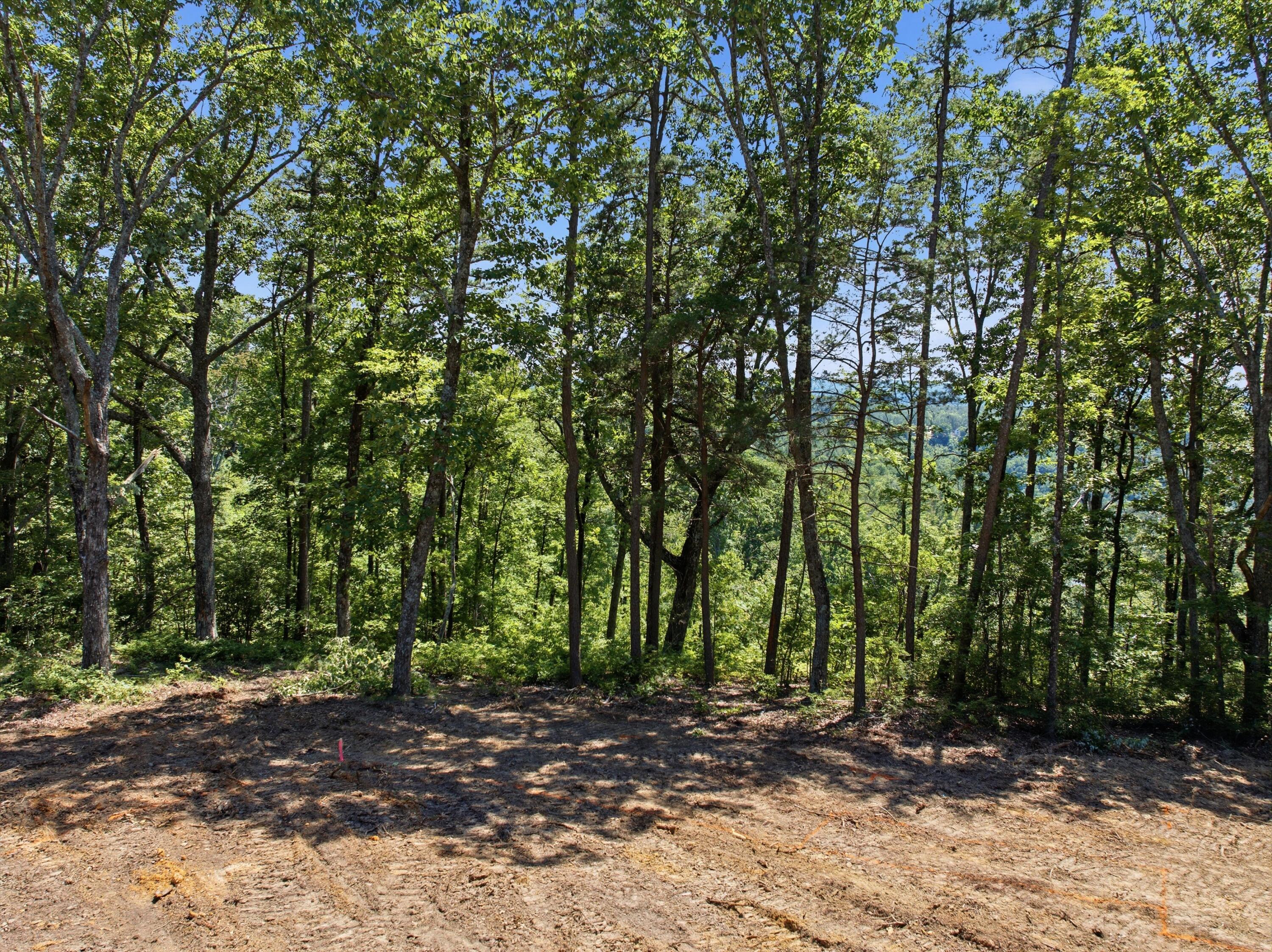0 Split Rail Way, Unit 1180 Guild, TN 37340 - Photo 9 of 16 10-10213_TN-156_9