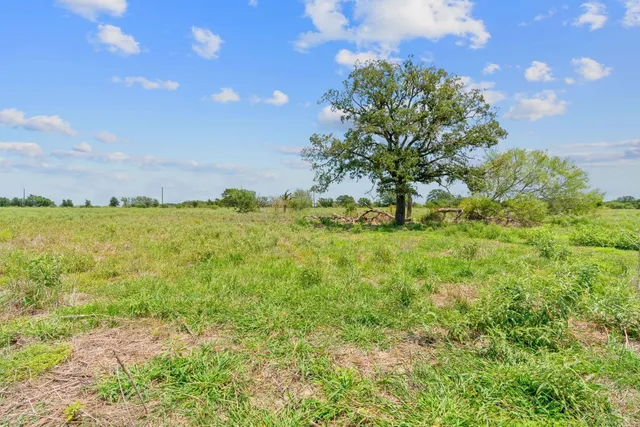 $71,400 | Lot 7 County Road 402, Flatonia, TX 78941