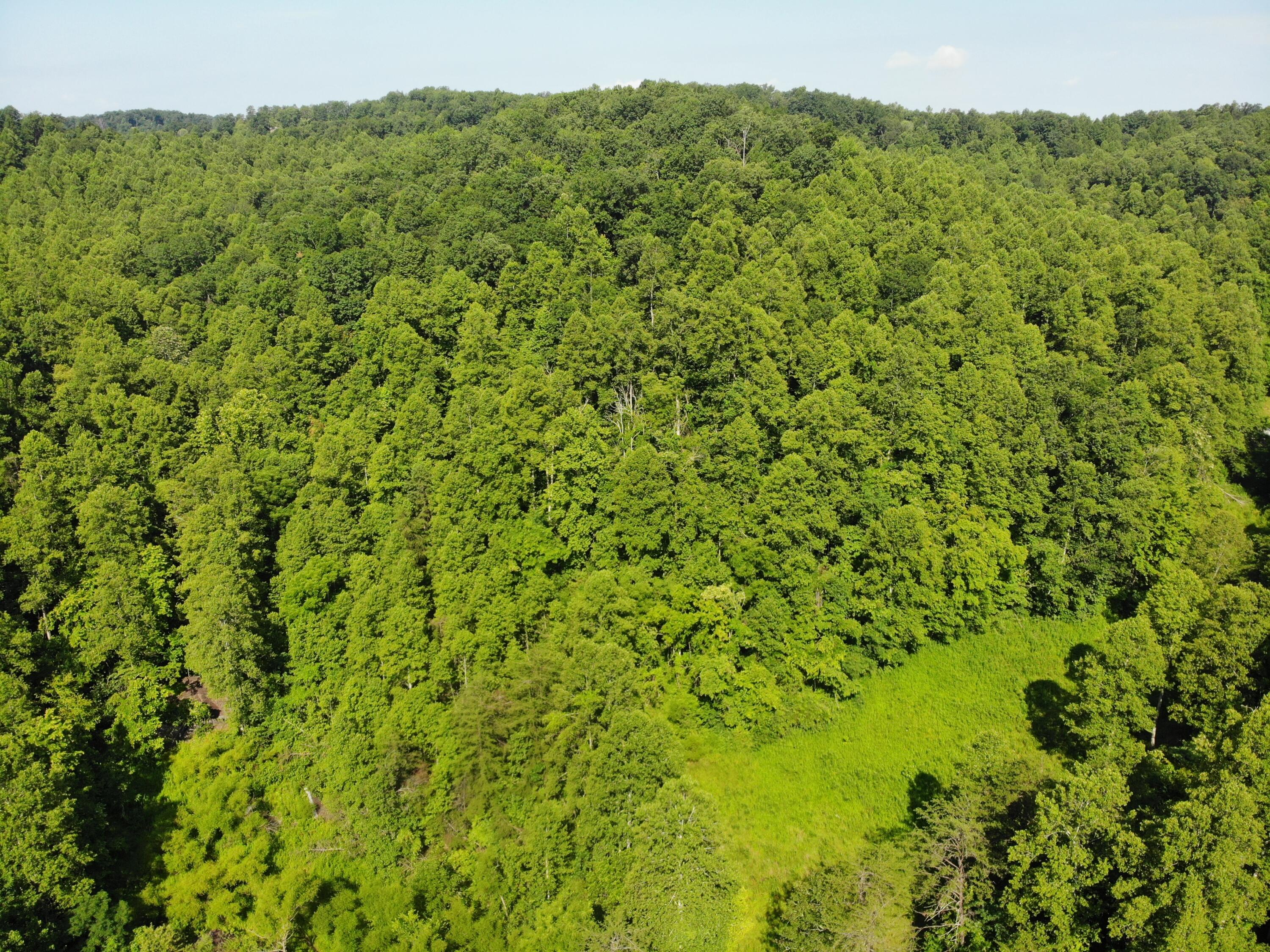 768 Clinton Stiltner Road Frenchburg, KY 40322 - Photo 5 of 19 DJI_0118