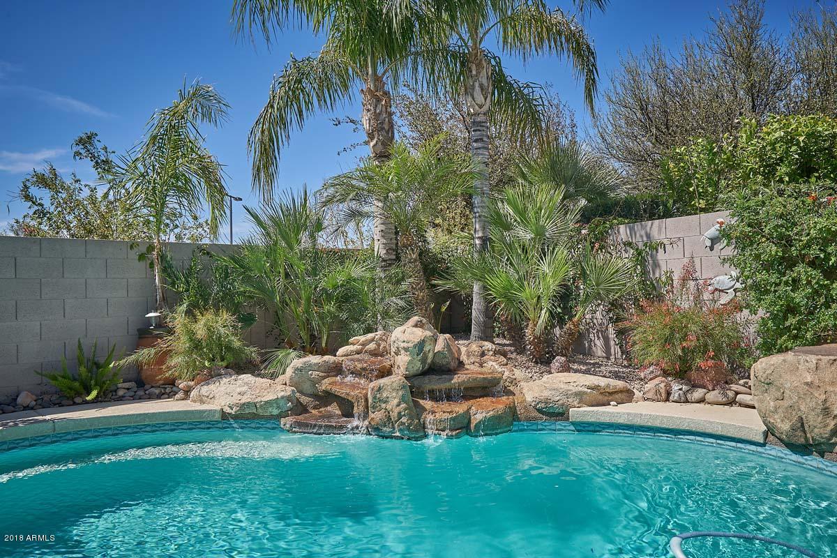 4421 East Walnut Road Gilbert, AZ 85297 - Photo 33 of 67 Pool-Water Feature