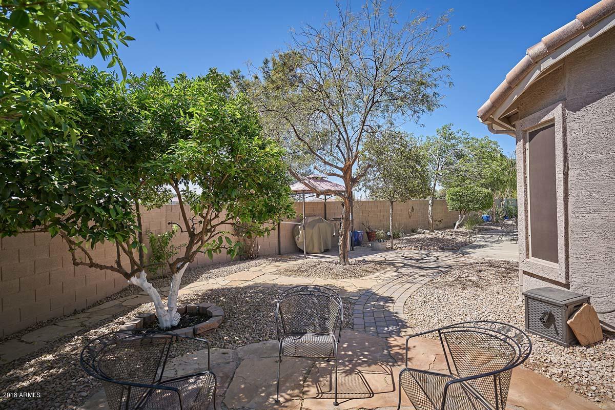 4421 East Walnut Road Gilbert, AZ 85297 - Photo 40 of 67 Backyard3