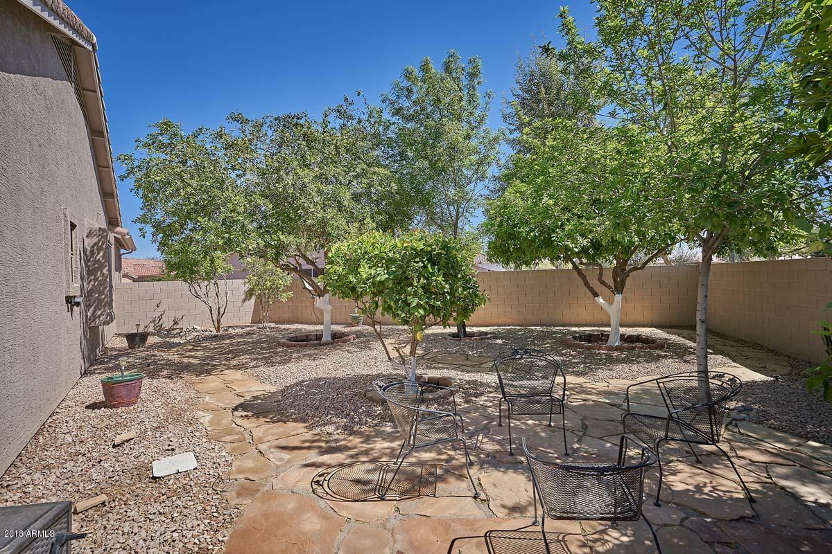 4421 East Walnut Road Gilbert, AZ 85297 - Photo 41 of 67 Backyard