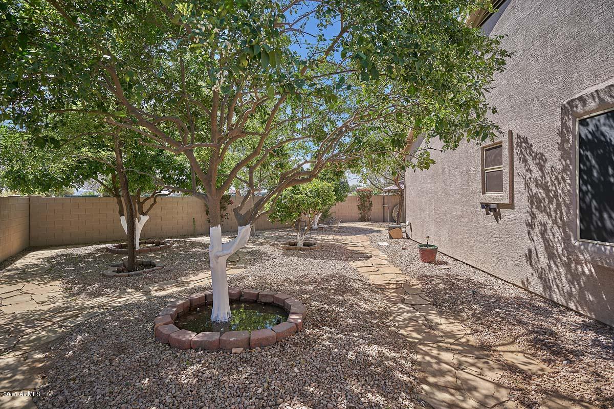 4421 East Walnut Road Gilbert, AZ 85297 - Photo 42 of 67 Backyard2