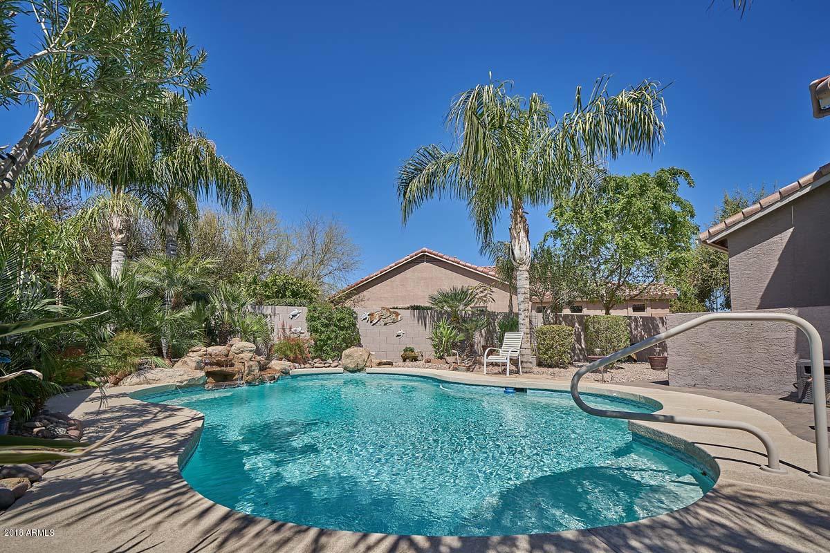 4421 East Walnut Road Gilbert, AZ 85297 - Photo 44 of 67 Pool3