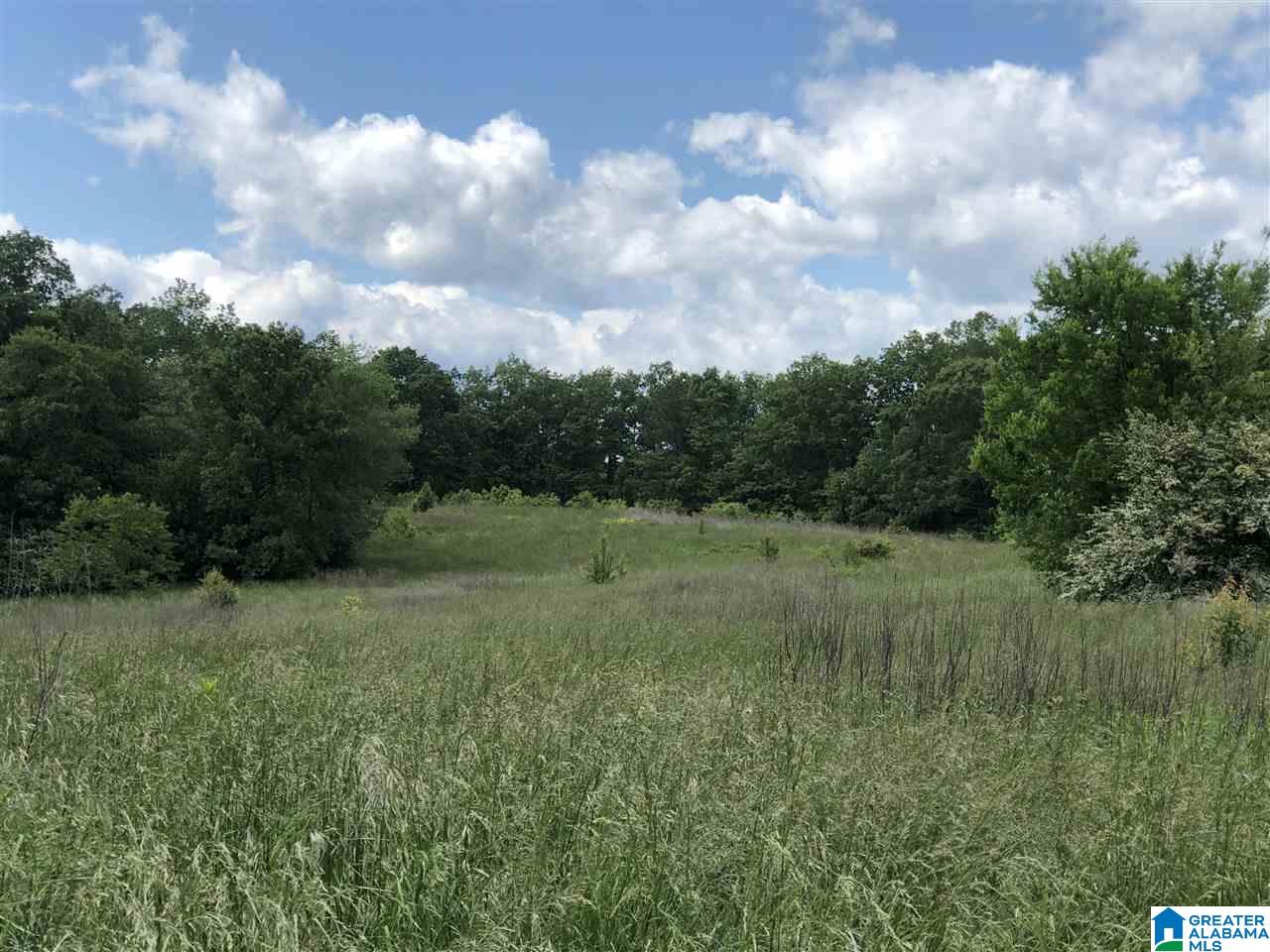 230 Copper Springs Road Odenville, AL 35120 - Photo 6 of 42